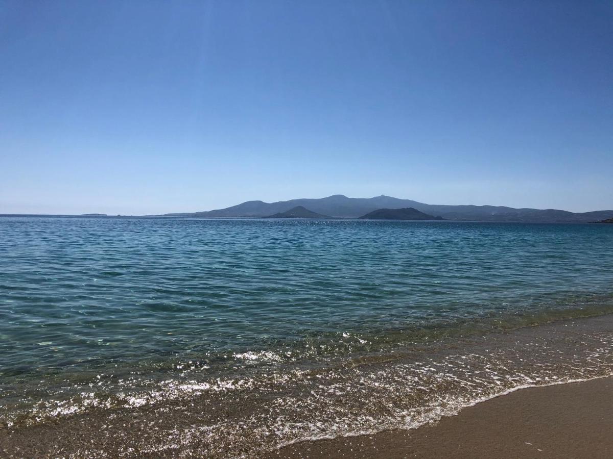 Taki's Guests Naxos City